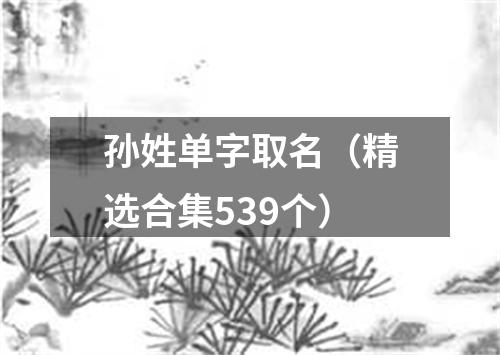 孙姓单字取名（精选合集539个）