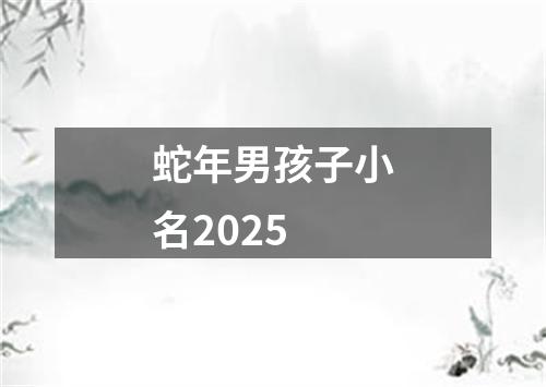 蛇年男孩子小名2025