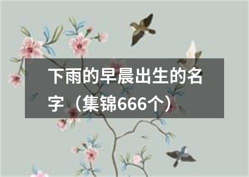 下雨的早晨出生的名字（集锦666个）