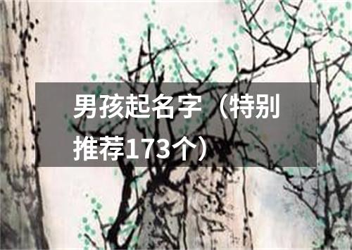 男孩起名字（特别推荐173个）