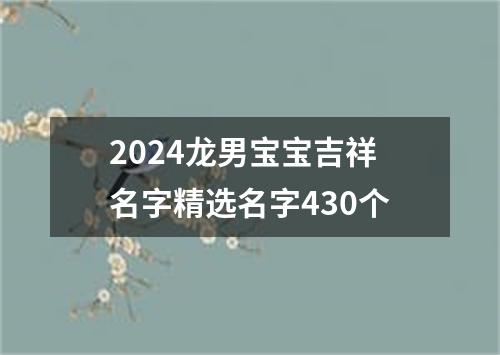 2024龙男宝宝吉祥名字精选名字430个