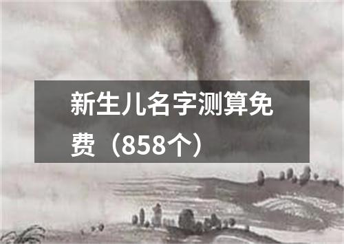 新生儿名字测算免费（858个）