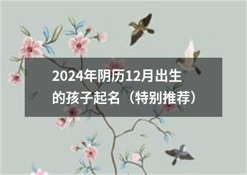 2024年阴历12月出生的孩子起名（特别推荐）