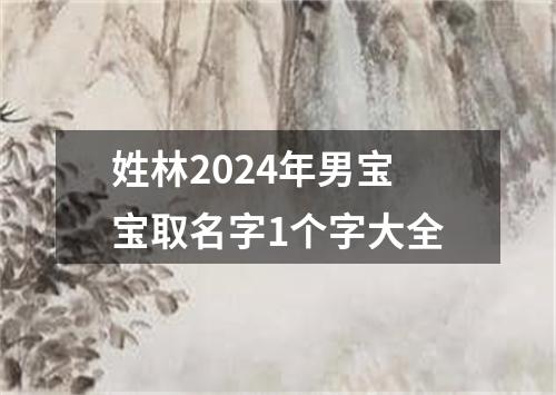 姓林2024年男宝宝取名字1个字大全