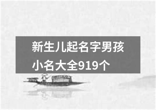 新生儿起名字男孩小名大全919个