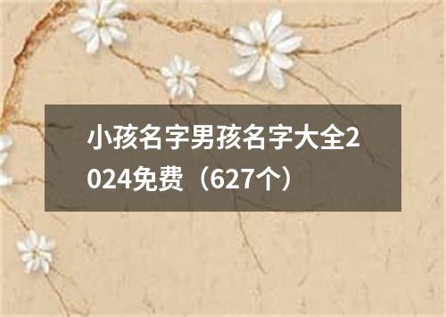 小孩名字男孩名字大全2024免费（627个）