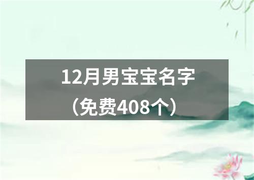 12月男宝宝名字（免费408个）