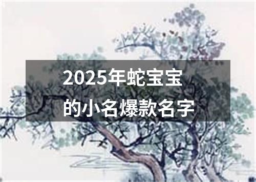 2025年蛇宝宝的小名爆款名字