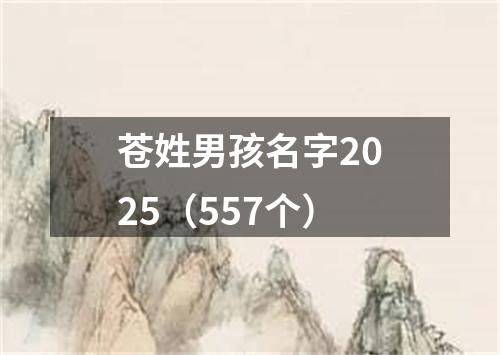 苍姓男孩名字2025（557个）