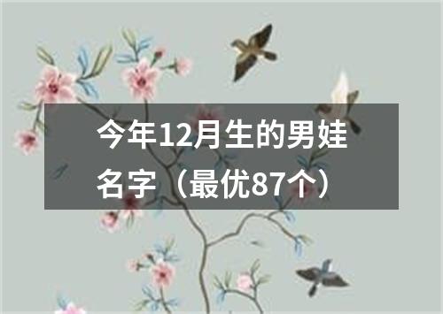 今年12月生的男娃名字（最优87个）