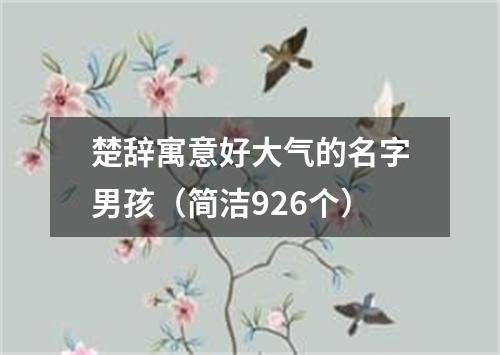 楚辞寓意好大气的名字男孩（简洁926个）