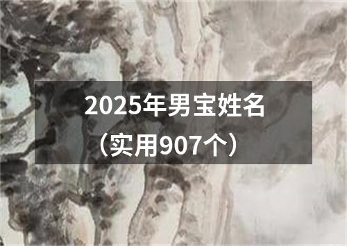 2025年男宝姓名（实用907个）