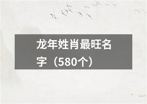 龙年姓肖最旺名字（580个）