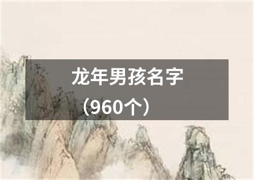 龙年男孩名字（960个）