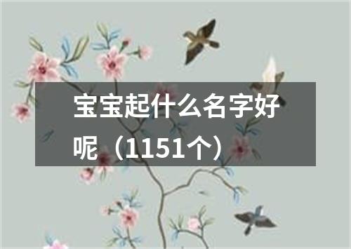 宝宝起什么名字好呢（1151个）