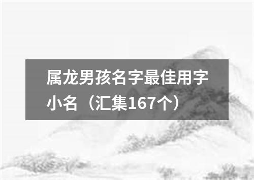 属龙男孩名字最佳用字小名（汇集167个）