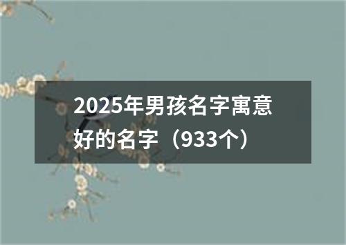 2025年男孩名字寓意好的名字（933个）