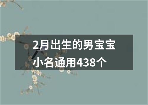 2月出生的男宝宝小名通用438个