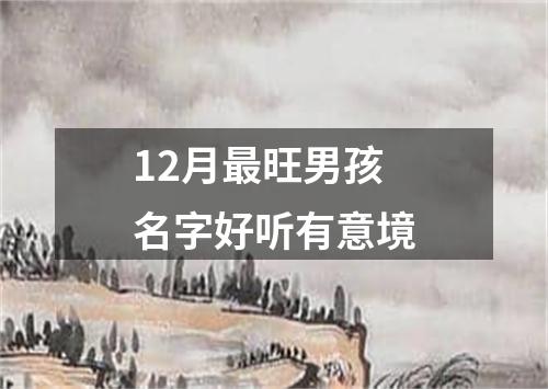 12月最旺男孩名字好听有意境