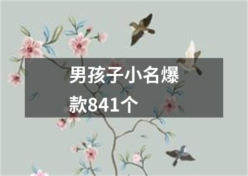 男孩子小名爆款841个