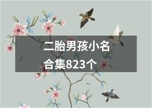 二胎男孩小名合集823个