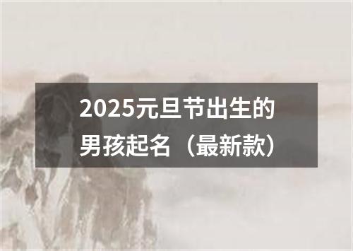 2025元旦节出生的男孩起名（最新款）