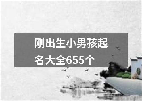 刚出生小男孩起名大全655个