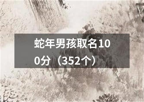 蛇年男孩取名100分（352个）