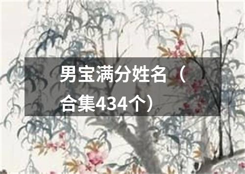 男宝满分姓名（合集434个）