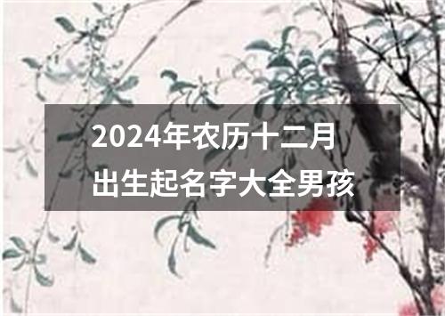 2024年农历十二月出生起名字大全男孩