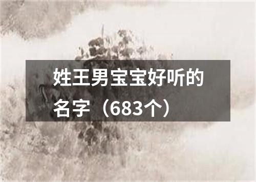 姓王男宝宝好听的名字（683个）