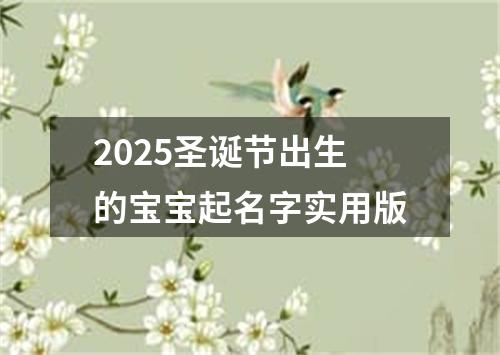 2025圣诞节出生的宝宝起名字实用版