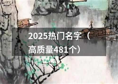 2025热门名字（高质量481个）