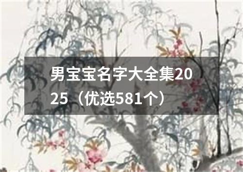 男宝宝名字大全集2025（优选581个）