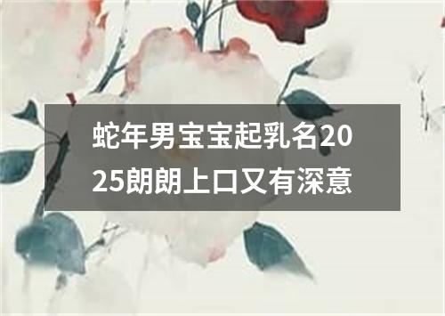 蛇年男宝宝起乳名2025朗朗上口又有深意