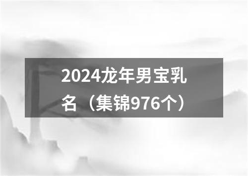 2024龙年男宝乳名（集锦976个）