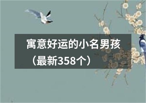 寓意好运的小名男孩（最新358个）