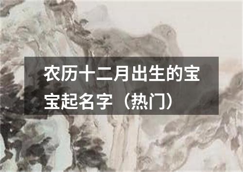 农历十二月出生的宝宝起名字（热门）