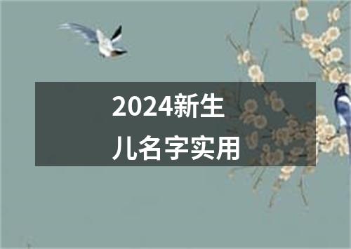 2024新生儿名字实用