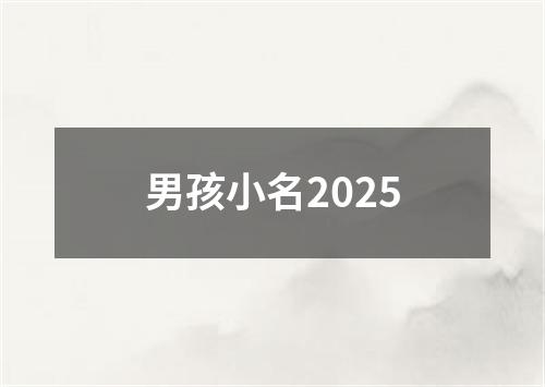 男孩小名2025