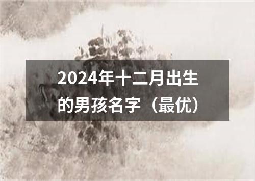 2024年十二月出生的男孩名字（最优）