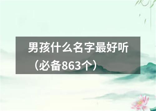 男孩什么名字最好听（必备863个）