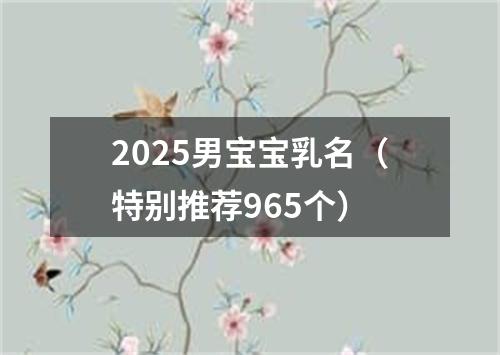 2025男宝宝乳名（特别推荐965个）