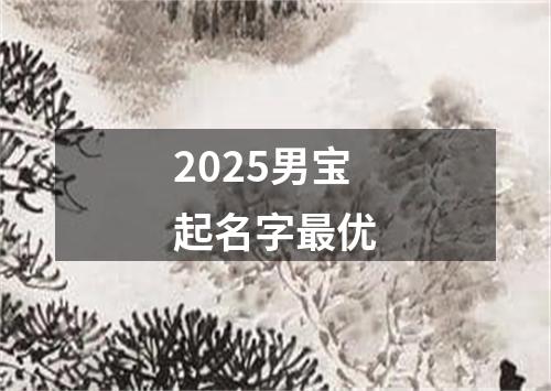 2025男宝起名字最优