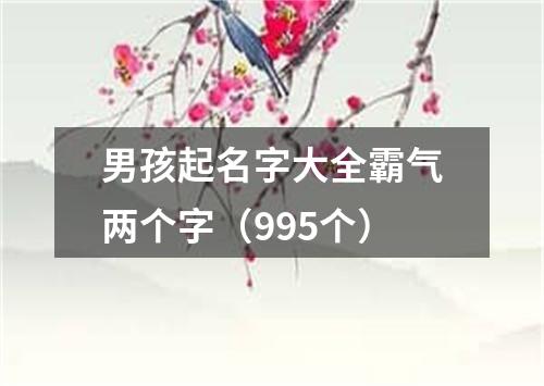 男孩起名字大全霸气两个字（995个）