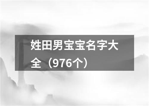 姓田男宝宝名字大全（976个）