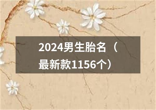 2024男生胎名（最新款1156个）