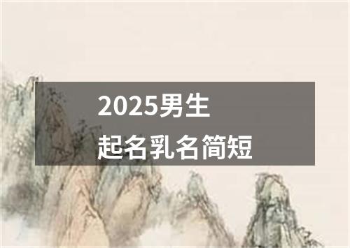 2025男生起名乳名简短