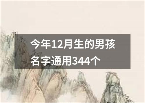 今年12月生的男孩名字通用344个