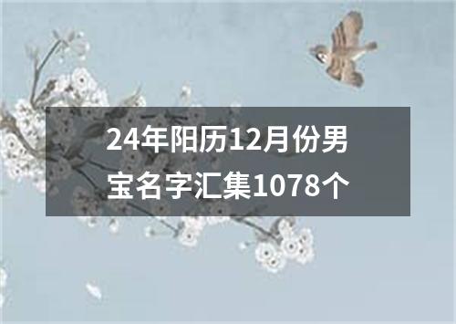 24年阳历12月份男宝名字汇集1078个